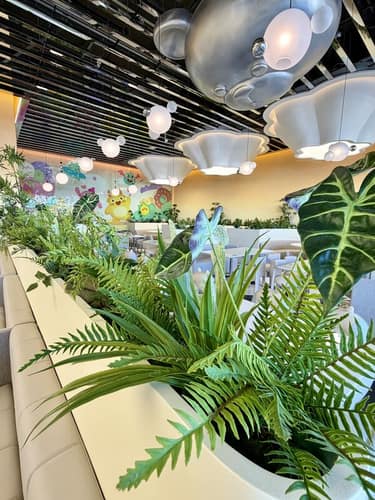 Decorative plant display